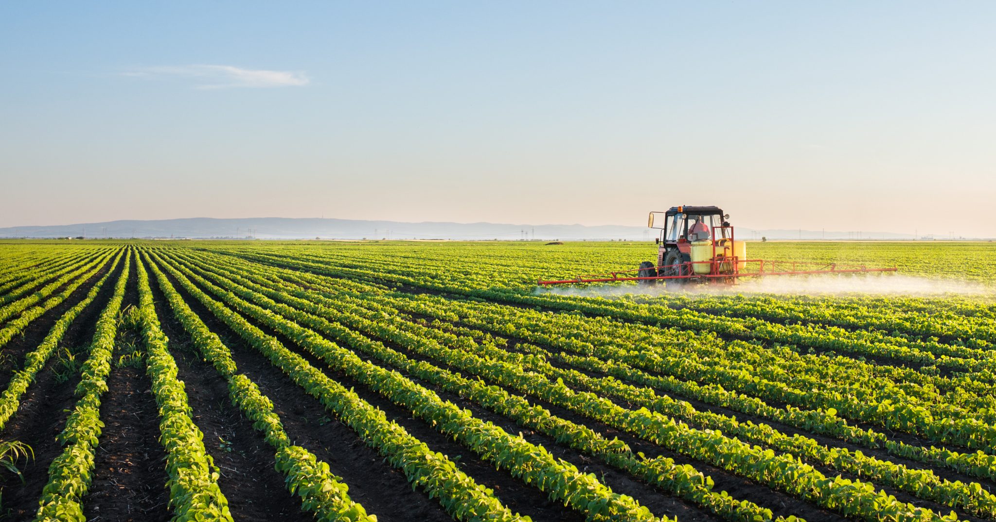 La production agricole du Maroc demeure limitée en 2023