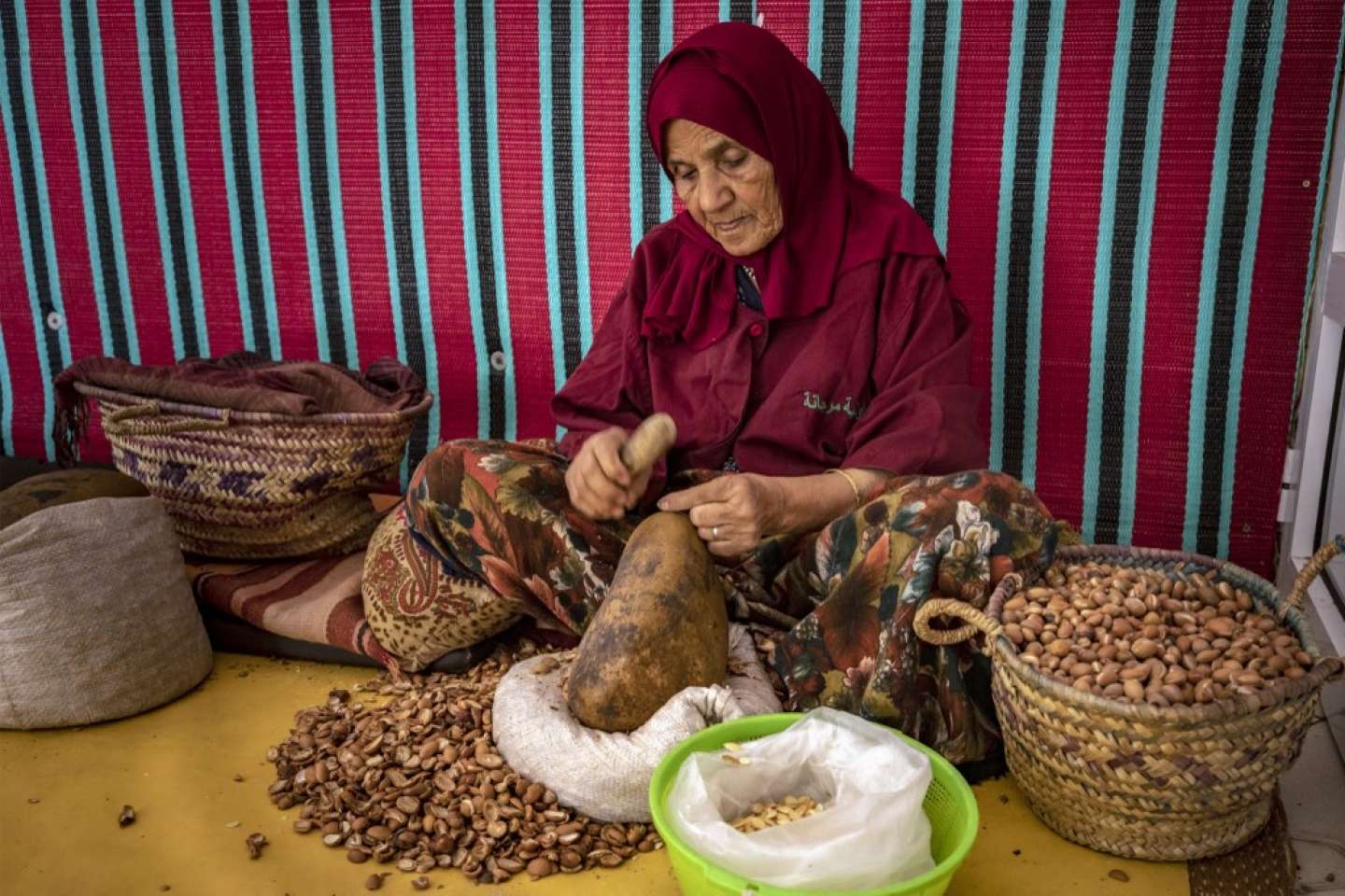 Arganier: Un héritage naturel menacé par la forte demande du marché international [INTÉGRAL]