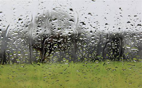 Fortes pluies localement orageuses mercredi dans certaines provinces du Royaume