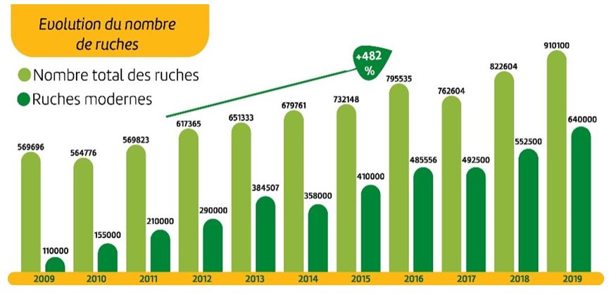 Journée mondiale des abeilles : Le secteur apicole marocain face au défi de la compétitivité [INTÉGRAL]