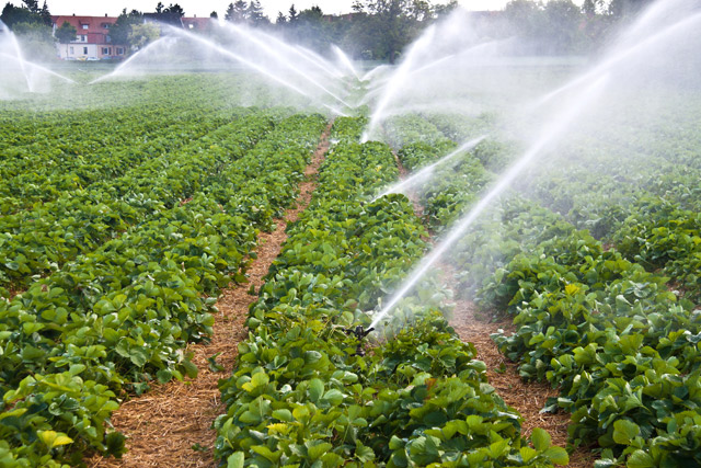 Irrigation climato-intelligente : Vers l’expansion du marché dédié à l’agriculture 4.0 ? [INTÉGRAL]