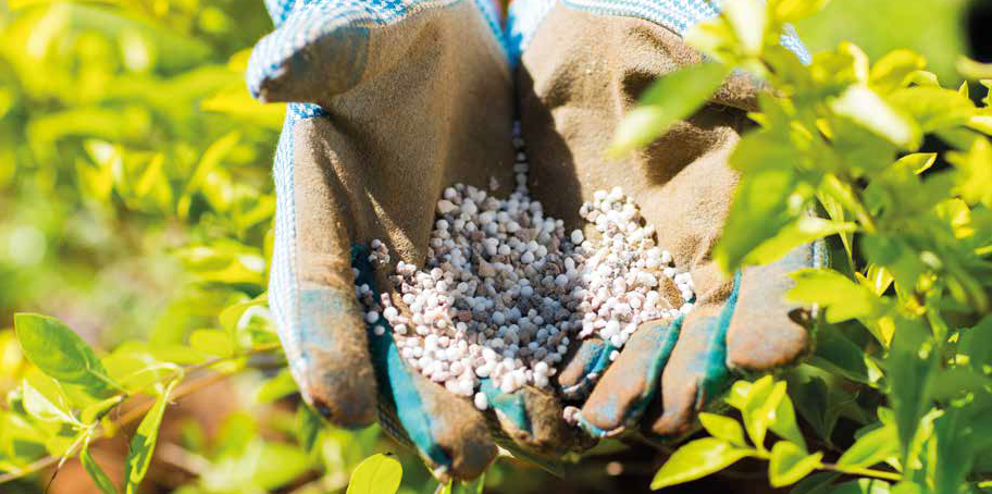Engrais : le Maroc devient le 5ème fournisseur de l'Inde