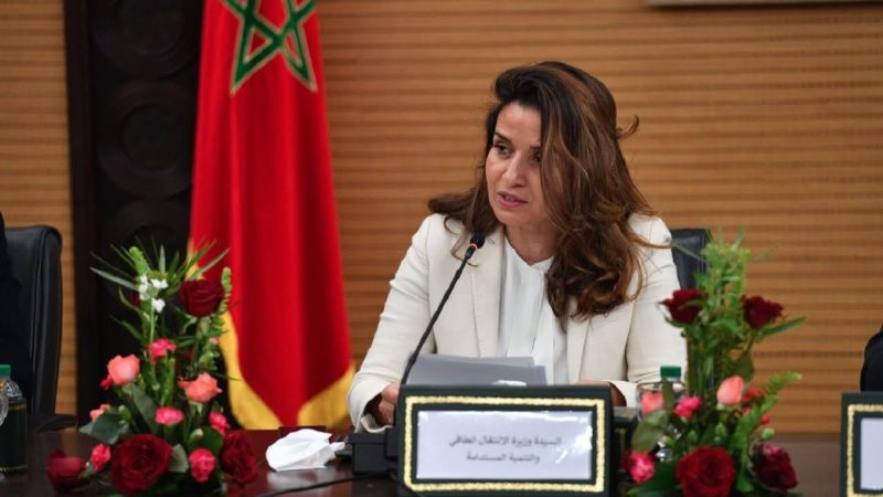 Leila Benali préside une réunion du comité visant à accélérer la Stratégie nationale de développement durable
