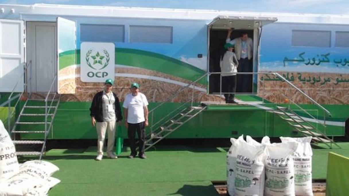 Économie sociale et solidaire : la Fondation OCP accompagne plus de 800 coopératives marocaines et africaines Économie sociale et solidaire : la Fondation OCP accompagne plus de 800 coopératives marocaines et africaines