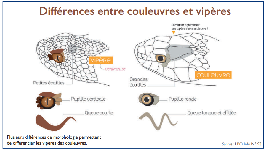 L’info...Graphie
