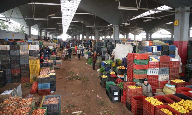 Futur marché de gros de Rabat: Les travaux vont bon train