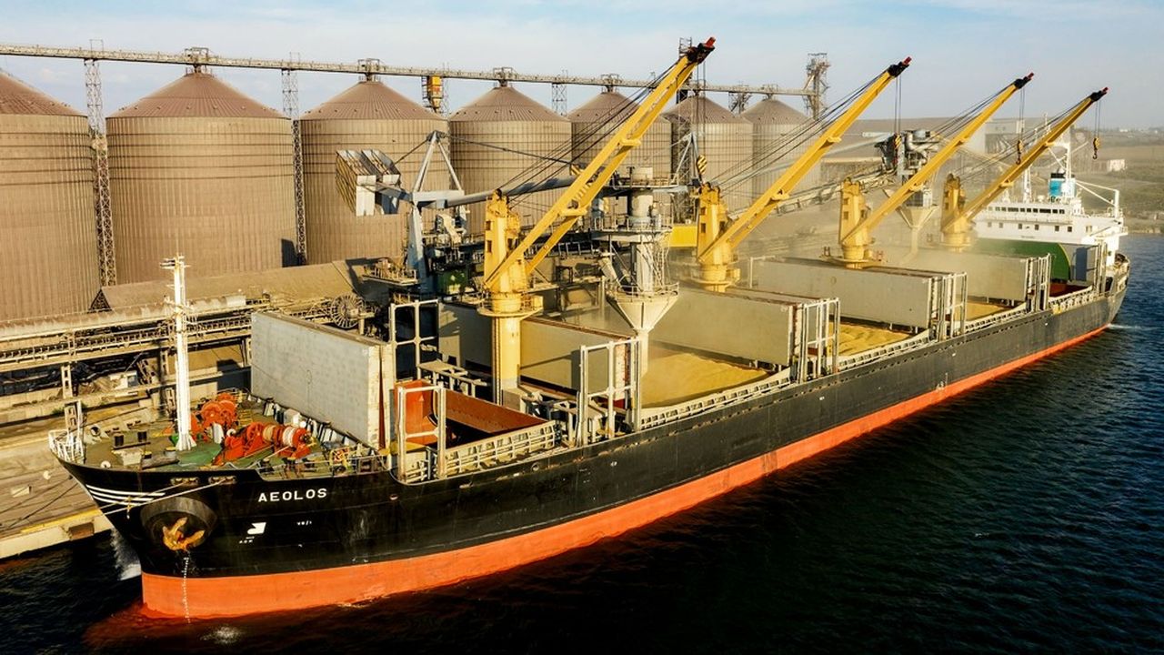 Blé tendre : Le Maroc augmente ses importations en provenance de la Russie 