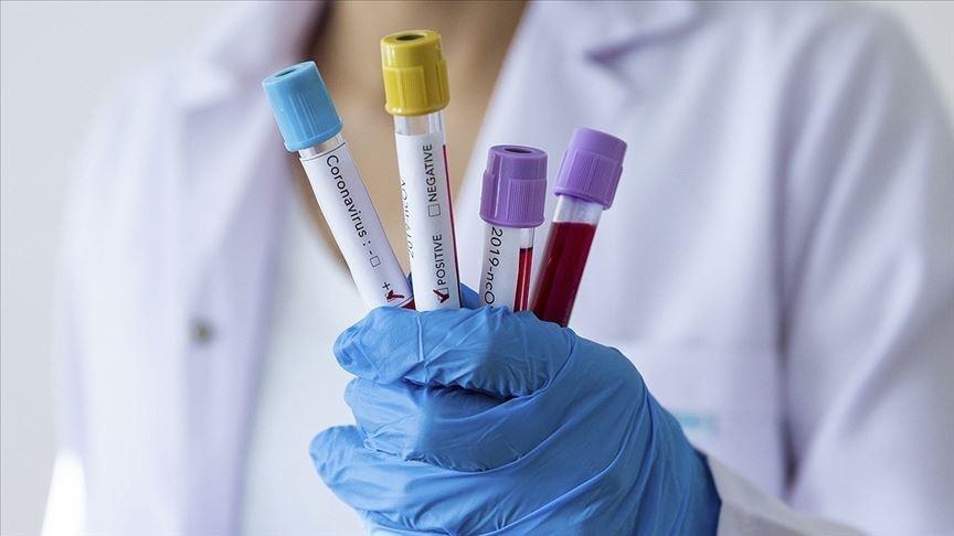 Coronavirus : L’OMS annonce une hausse des infections dans le monde
