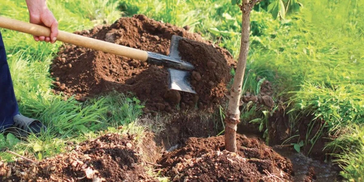 Autoroute de l’eau Sebou-Bouregreg : L’impact environnemental d’un projet écoresponsable [Intégral]