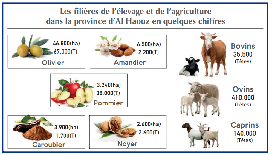 Province d’Al-Haouz : Les éleveurs en détresse face à la perte de leur cheptel [INTÉGRAL]