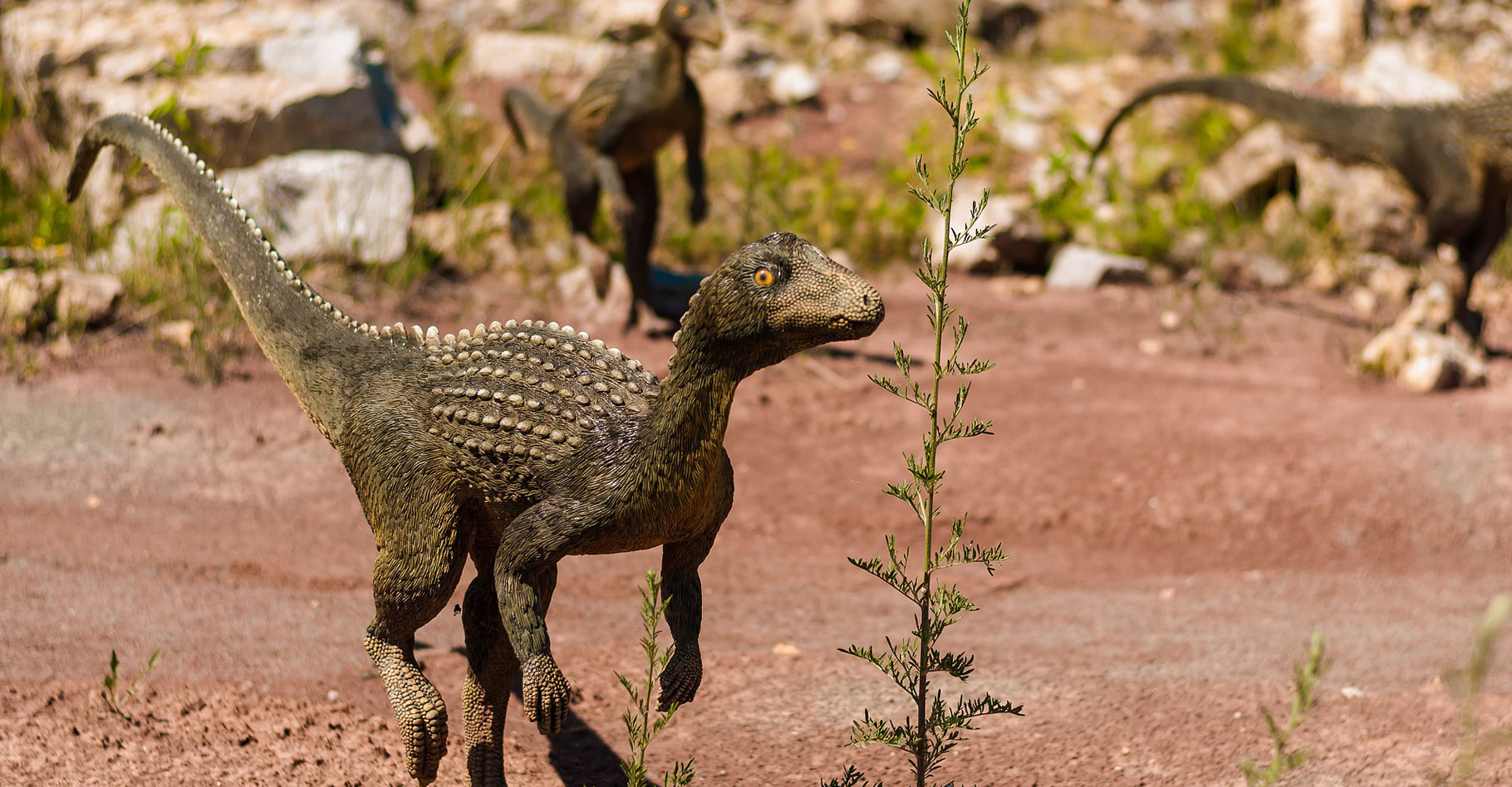 Archéologie : Des empreintes de dinosaures découvertes près d'Imilchil datant de la période jurassique