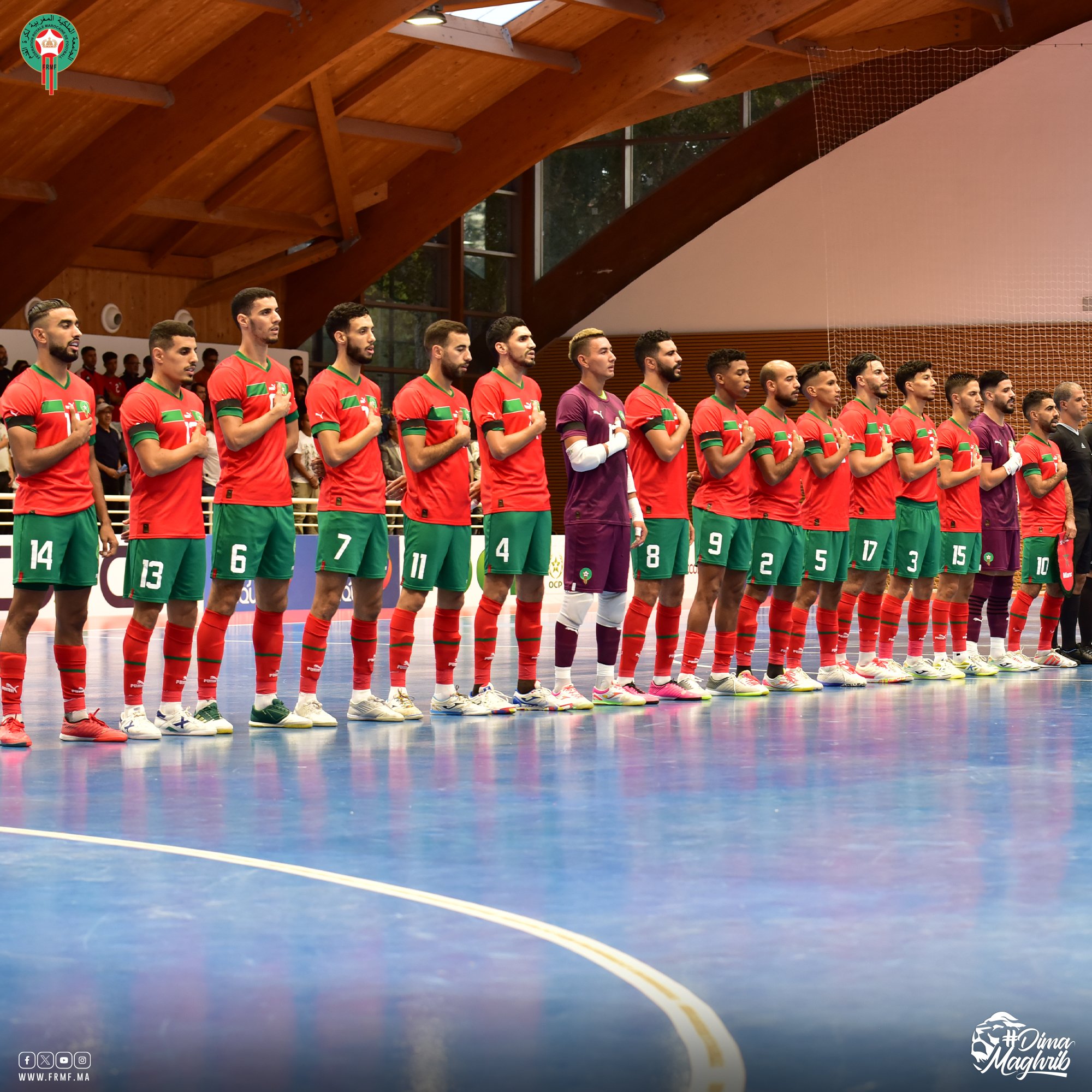 Futsal amical:  Les Lions Face à la Norvège ce mercredi
