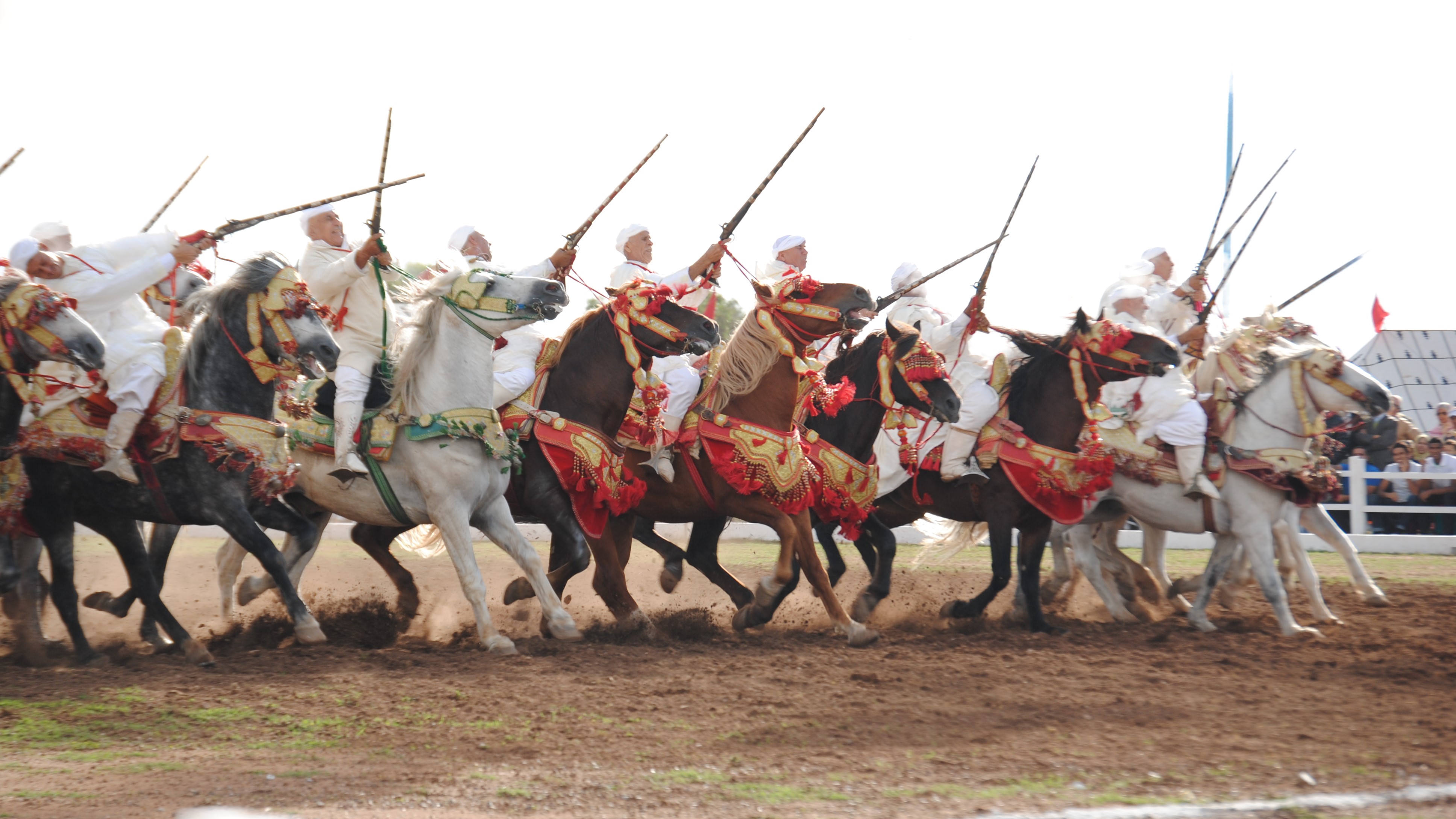 Salon du Cheval d'El Jadida: la Direction de l’Histoire Militaire de l’EMG des FAR organise une exposition historique