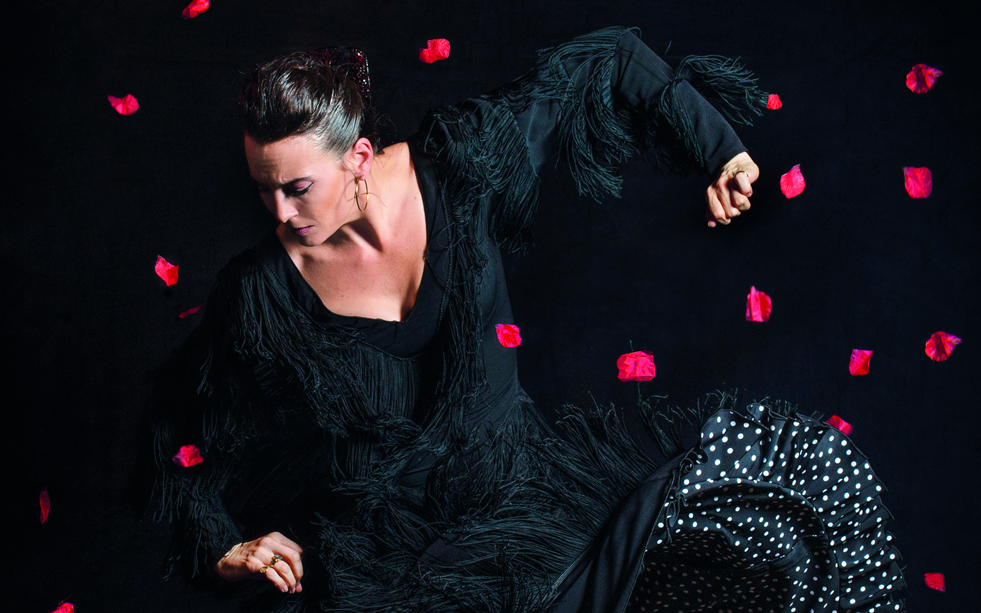 Congrès : L’esprit flamenco sur la route marocaine Congrès : L’esprit flamenco sur la route marocaine