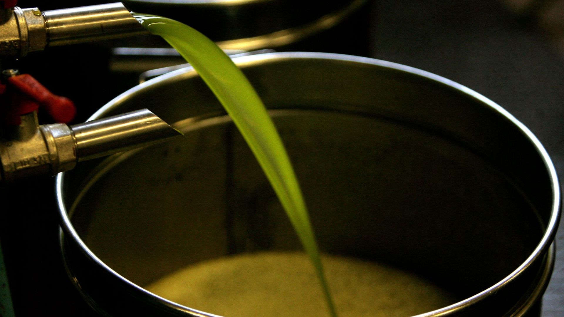 Reportage : Sur les traces de la meilleure huile d’olive marocaine  [INTÉGRAL]