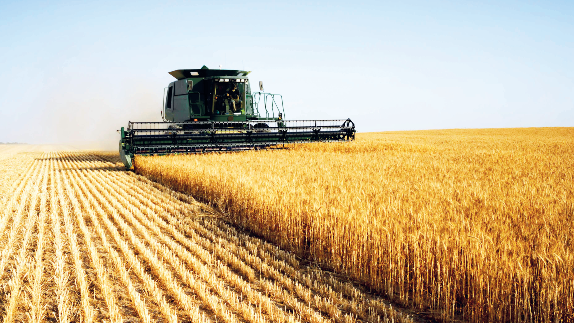 Subvention du blé : Les explications de Sadikki