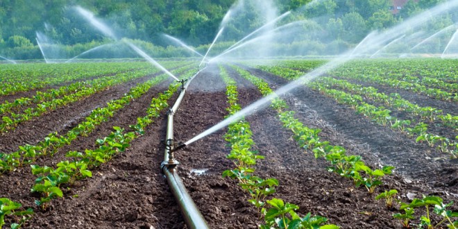 Agriculture consomme moins d'un milliard de mètre cubes d'eau, selon Mohammed Sadiki