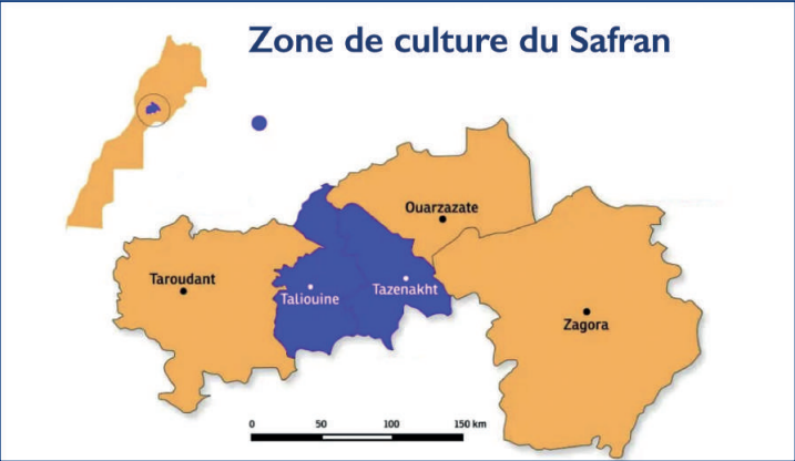Infographie Infographie