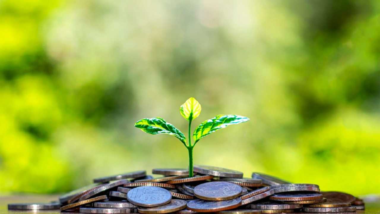 La région MENA face aux enjeux financiers climatiques : Opter pour des politiques de développement industriel et climatique fortes