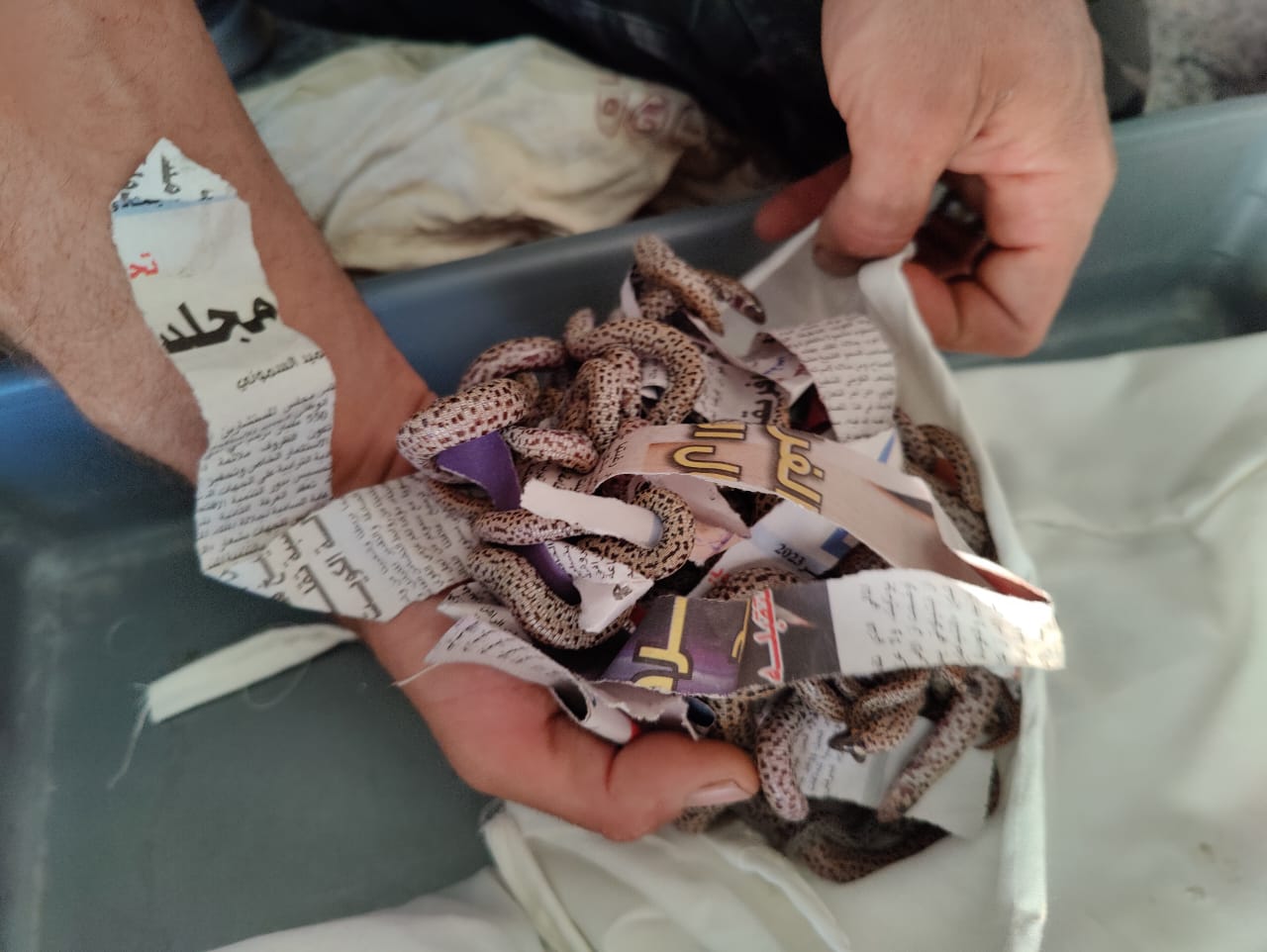 Aéroport Marrakech-Menara: Mise en échec d'une tentative de trafic d'un lot de reptiles