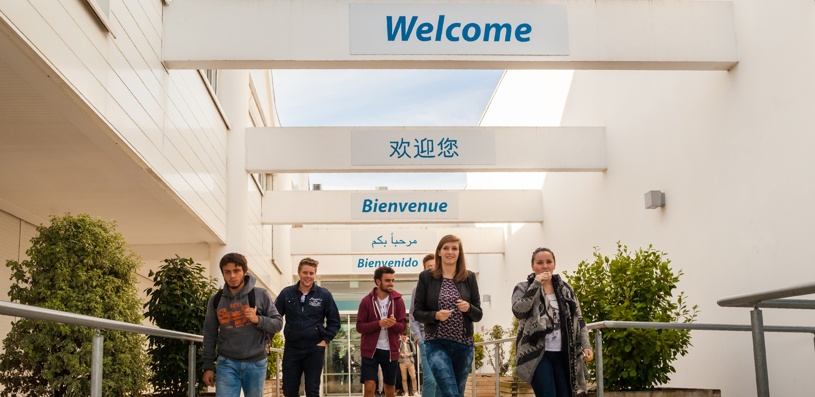 Excelia Business School : Ascendance dans le classement du Financial Times