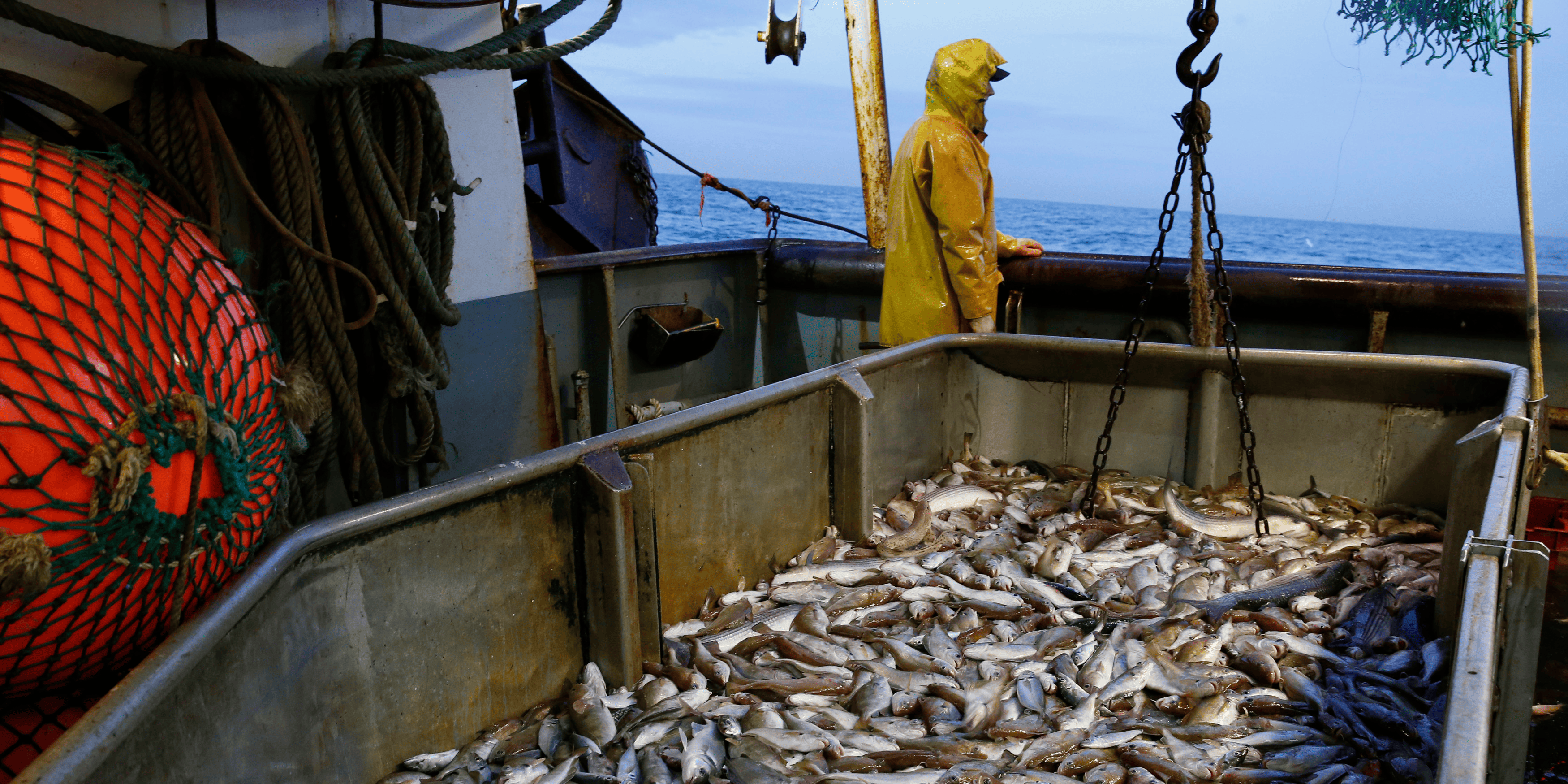 Aliments de poissons : Nouveaux quotas à 2,5% de droits de douane jusqu'en 2026
