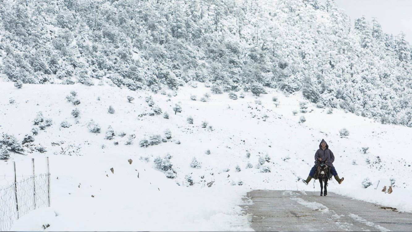 Vague de froid : Vaste opération d'hébergement des personnes sans abri à Béni Mellal