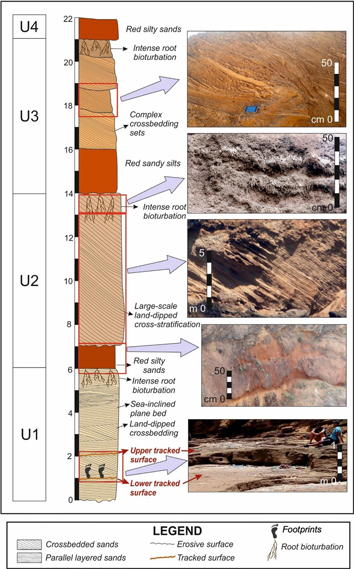 Scienza e vita: scoperta di impronte di 100.000 anni a Larache