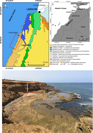 Science et vie : Des empreintes de pieds de 100000 ans découvertes à Larache