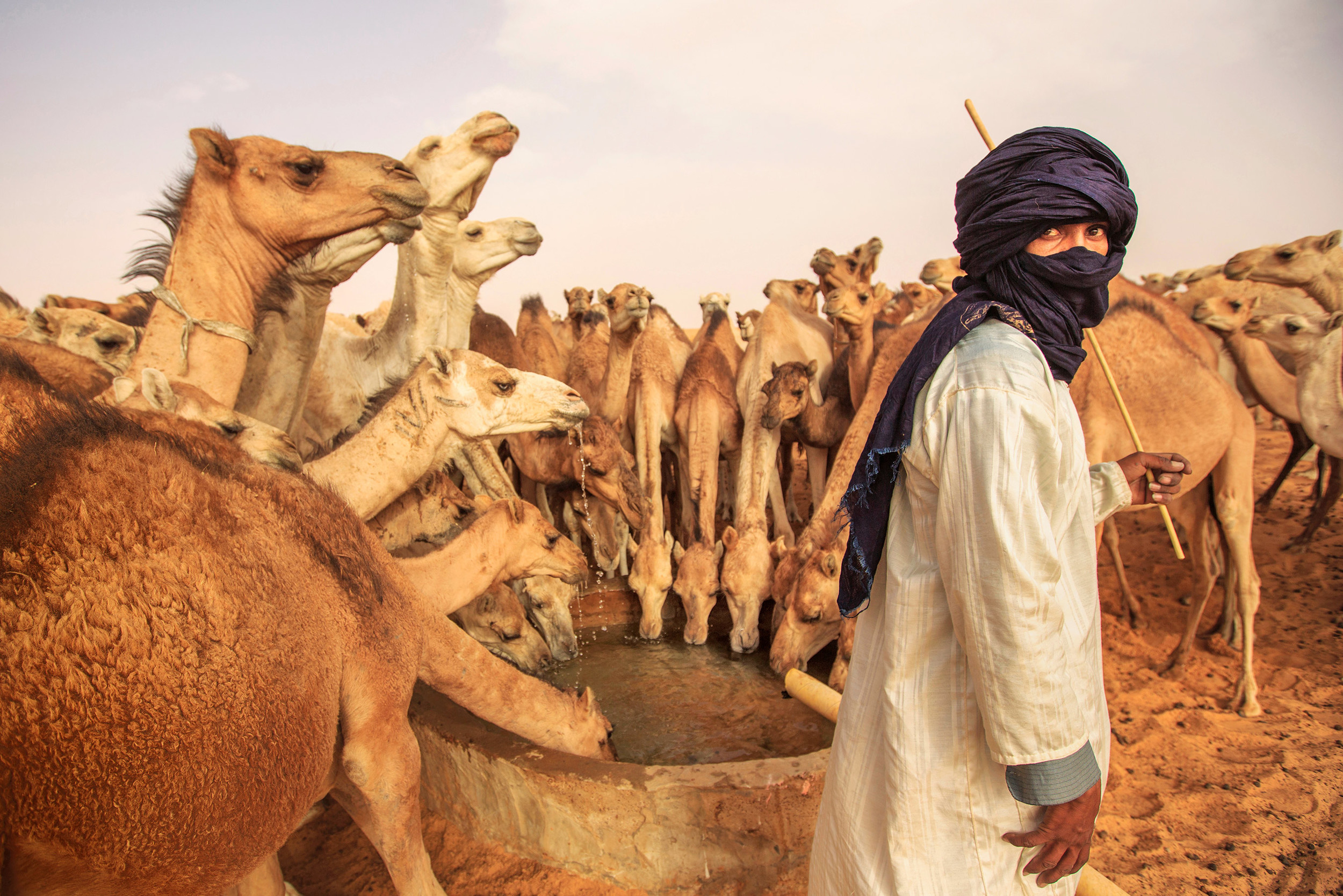 Rétro-Verso : Fal Ould Oumeir, l’homme qui défendait le Maroc depuis Trarza