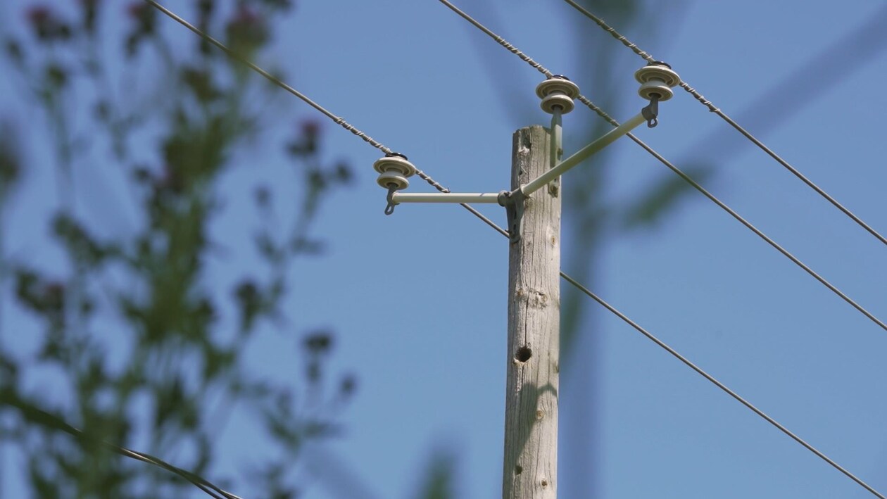 Poteaux en bois : 700 millions de dirhams pour sécuriser le réseau électrique