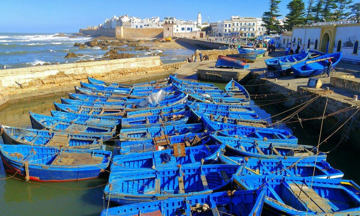 Port d'Essaouira : Les débarquements de la pêche côtière et artisanale en forte hausse en janvier