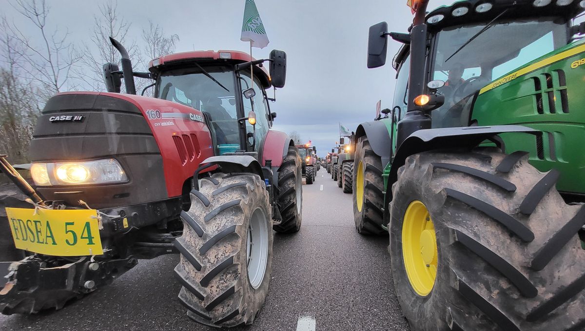 France : Les tracteurs de retour dans Paris pour "maintenir la pression" France : Les tracteurs de retour dans Paris pour "maintenir la pression"