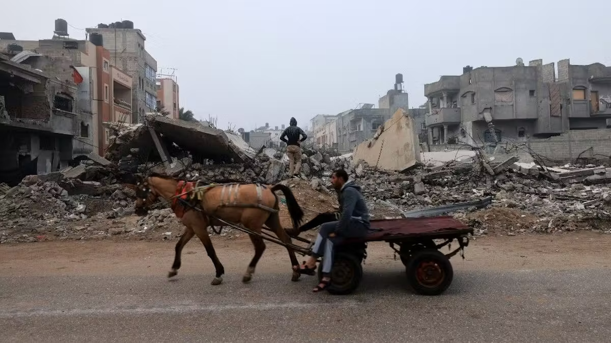 Dans le nord de Gaza, manger son cheval pour ne pas mourir de faim