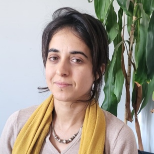 « D’autres approches auraient pu être consenties afin de trouver des solutions aux problèmes que les décideurs attribuaient à la construction vernaculaire »