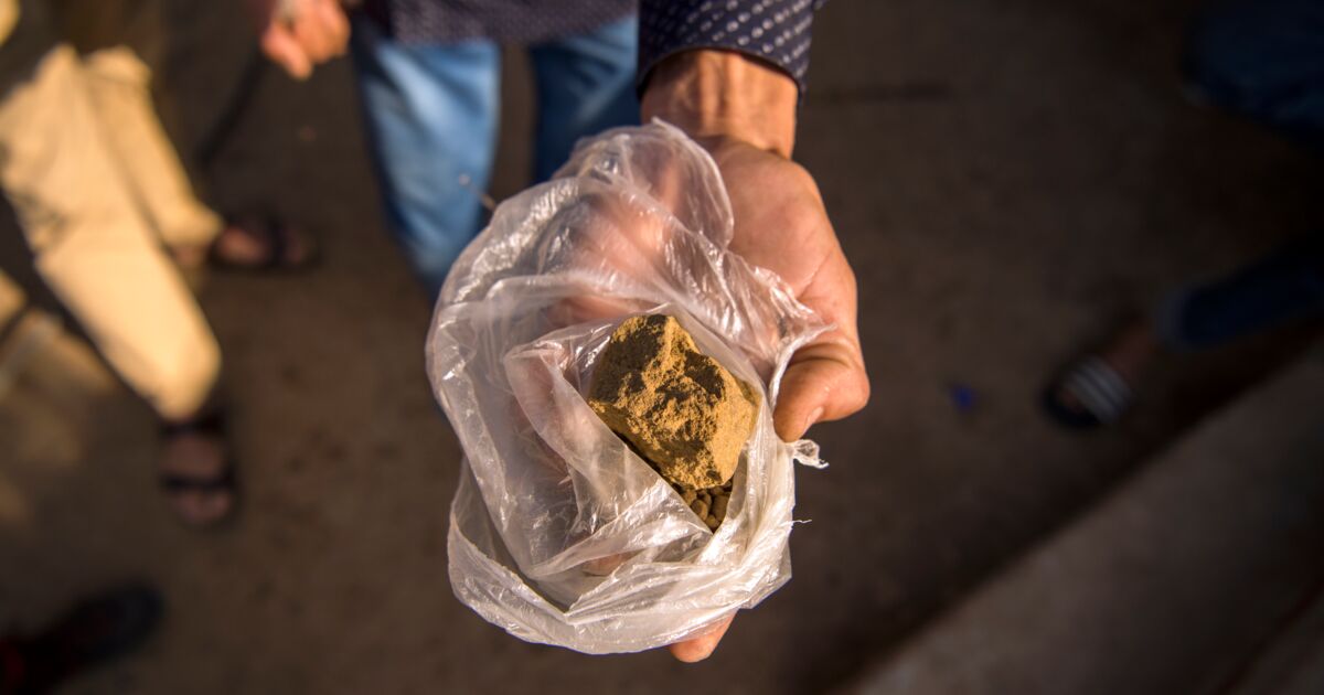 Vers une nouvelle stratègie de développement du cannabis licite. Vers une nouvelle stratègie de développement du cannabis licite.