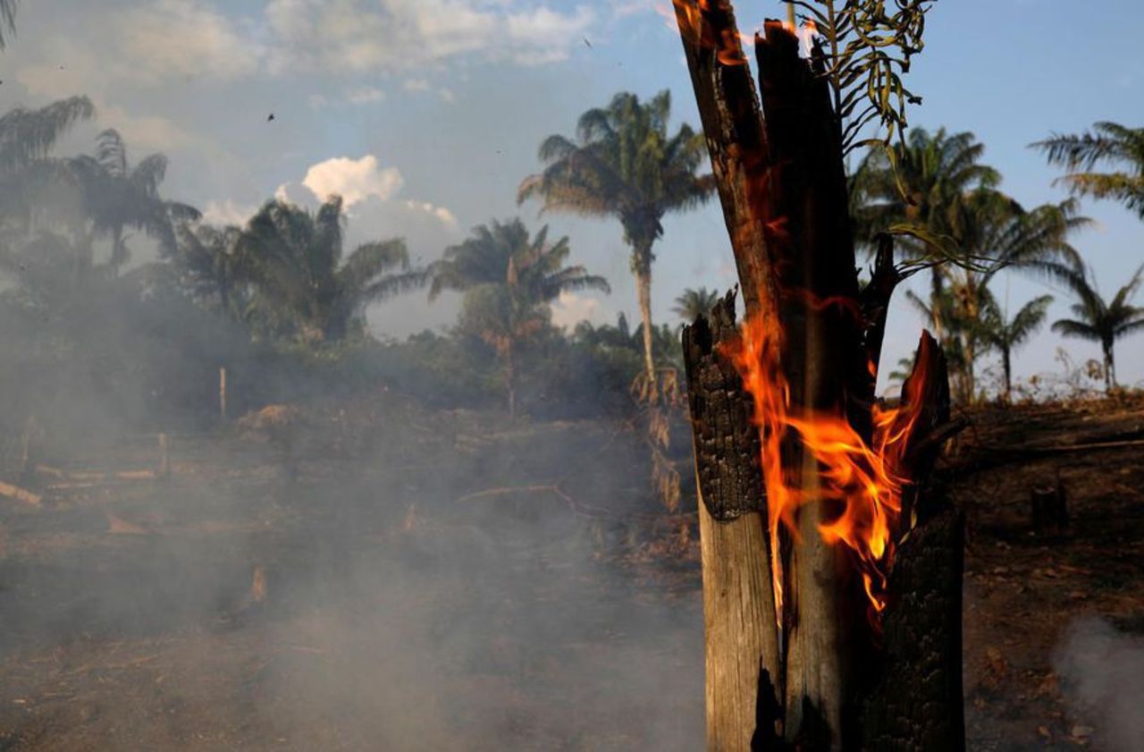 Etude : Plus de 60 % des zones récupérées de l'Amazonie brésilienne ont été à nouveau dévastées