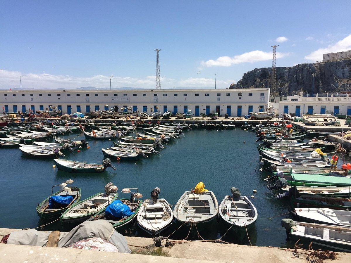 Port d'Al Hoceima: Hausse de 49% des débarquements de pêche à fin février