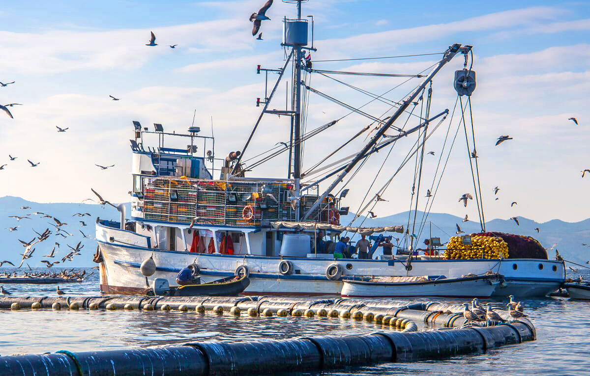 128 navires de l’UE étaient autorisés à pêcher dans les eaux marocaines.