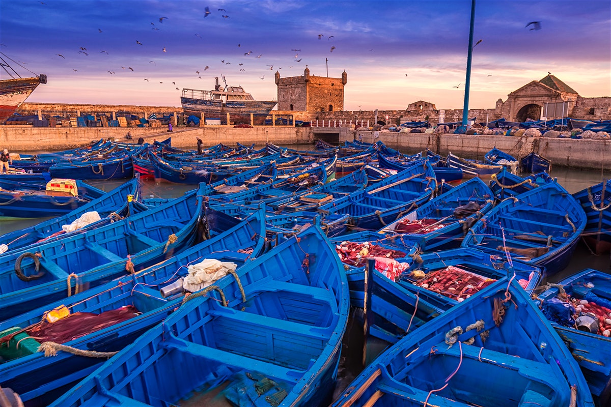 Port d’Essaouira : Hausse de 235% des débarquements de la pêche côtière et artisanale en février dernier