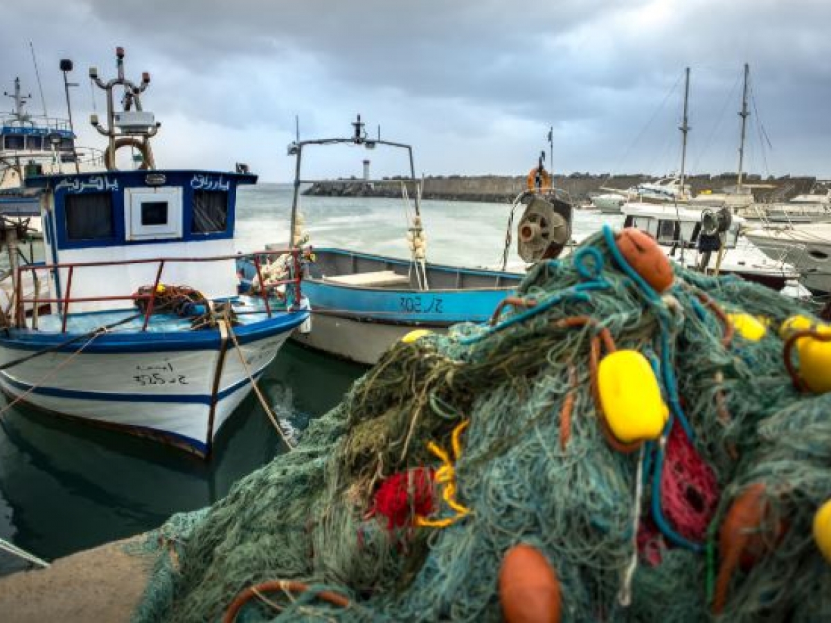 Tanger: Rencontre hispano-marocaine sur la durabilité des pêcheries dans la mer d'Alboran