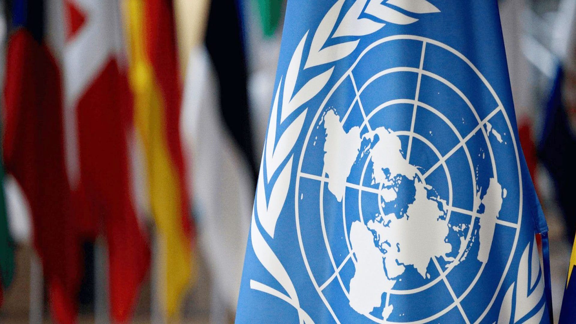 C24 : L'Iran joint sa voix à celle de l'Algérie pour soutenir le Polisario