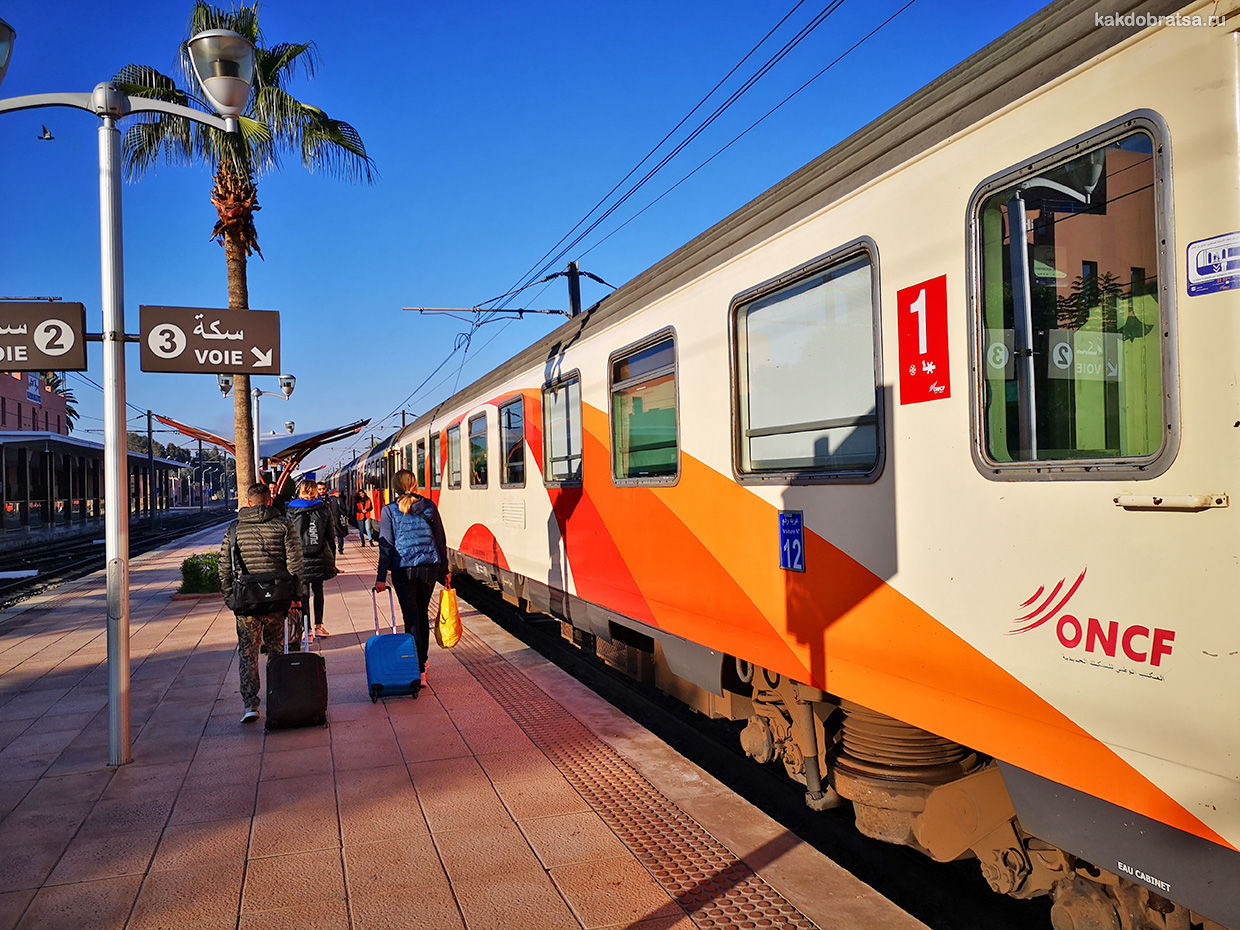 Saison estivale : l'ONCF met en place 230 trains en circulation chaque jour