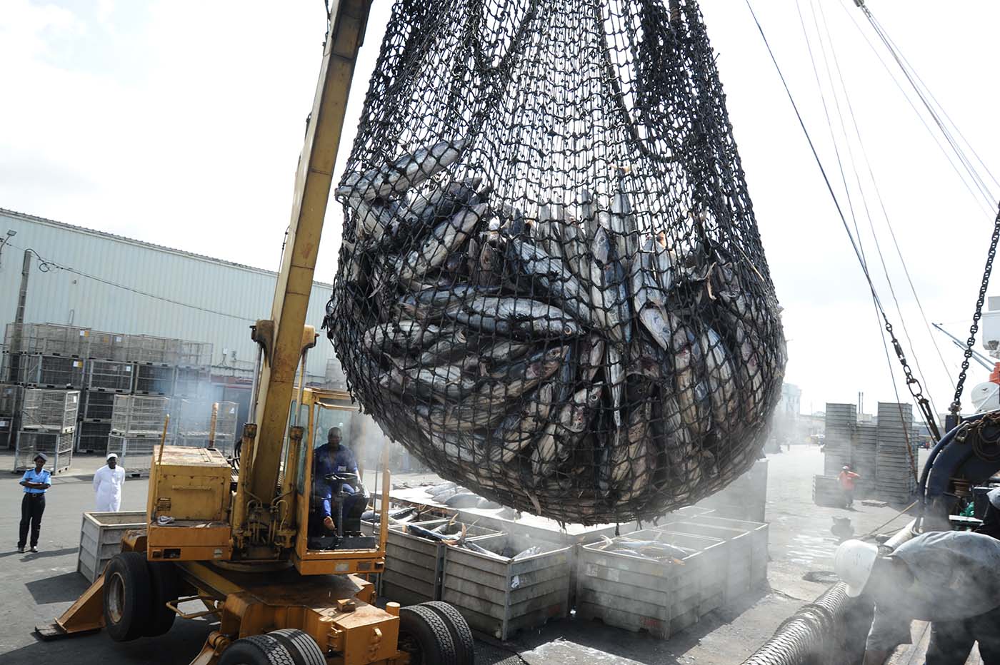 Projet de loi n°95.21 : Nouveau bouclier gouvernemental contre la pêche illicite ! [INTÉGRAL]