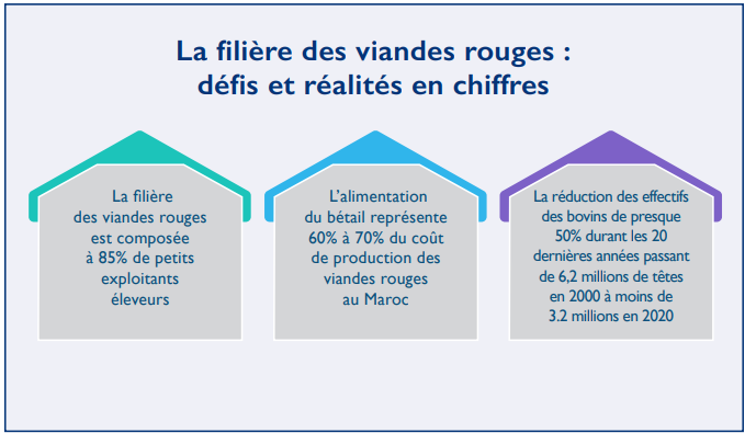 Viandes rouges : 30 mesures des Ingénieurs Istiqlaliens pour sauver le secteur [INTÉGRAL]