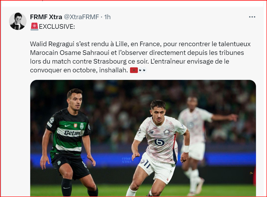 Ligue1 / J5: Avec Sahraoui, Zarroury et El Aynaoui mais sans Hakimi   Ligue1 / J5: Avec Sahraoui, Zarroury et El Aynaoui mais sans Hakimi