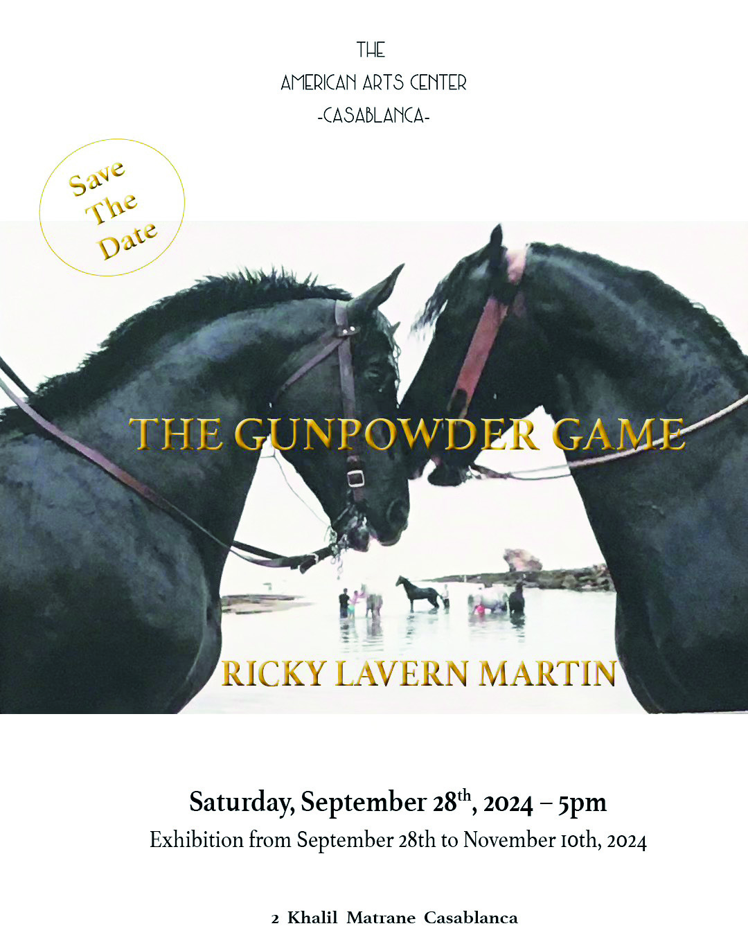 Photographie : Le cheval marocain se naturalise américain Photographie : Le cheval marocain se naturalise américain