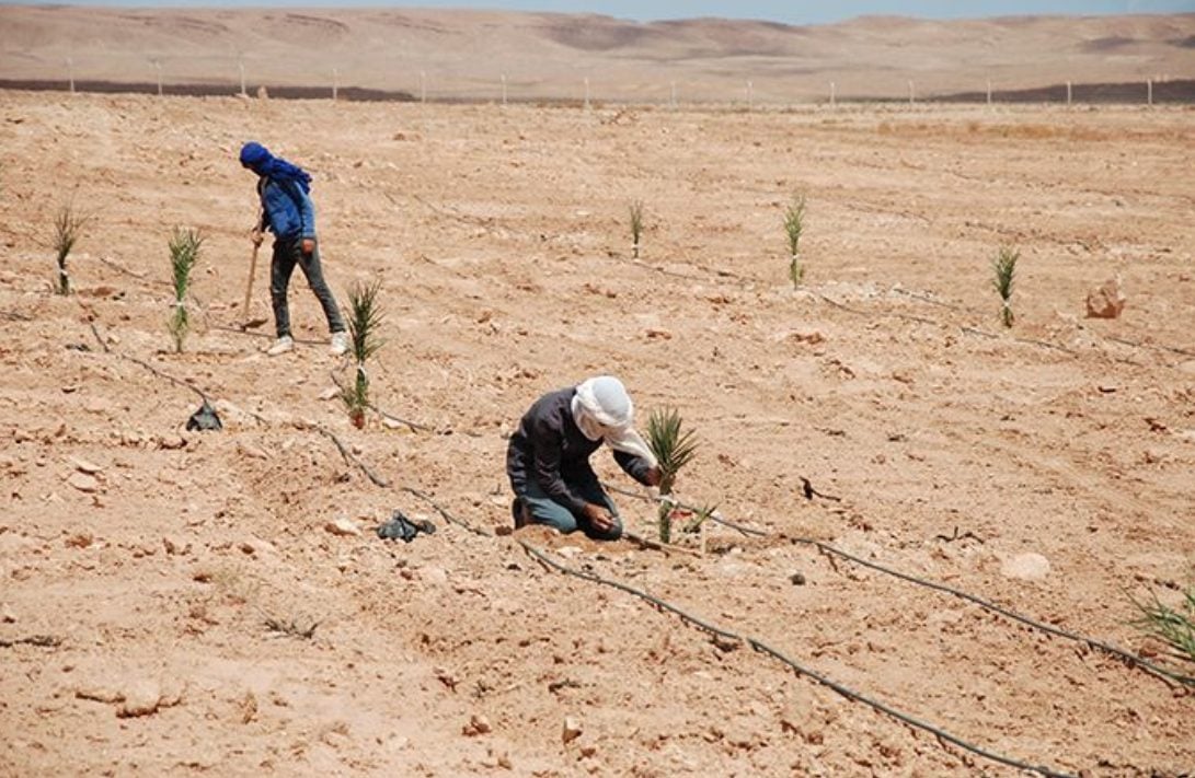 Crédit photo: tous droits réservés. Crédit photo: tous droits réservés.