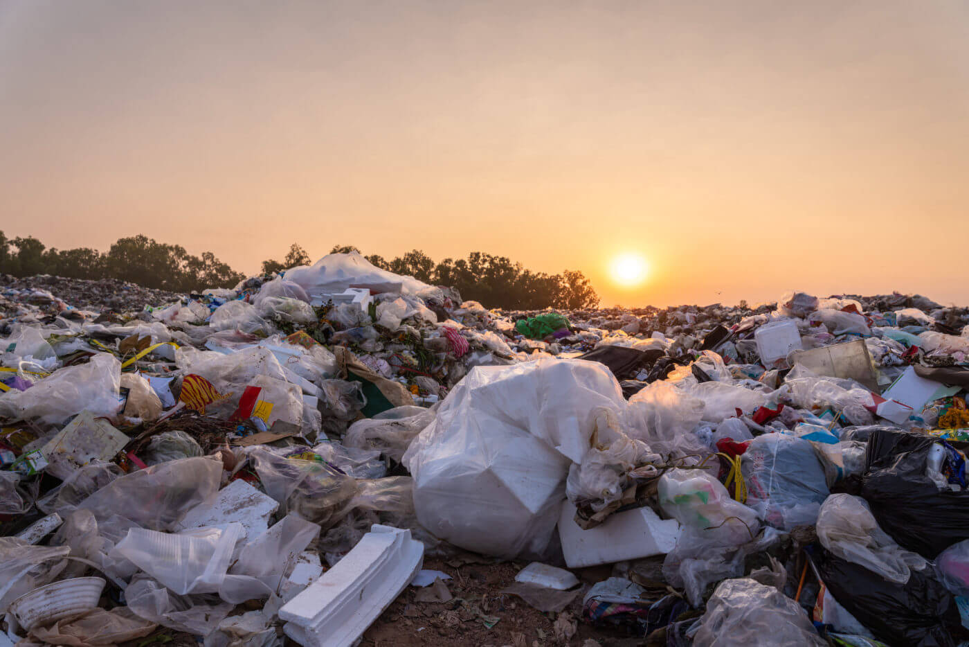 Gestion des déchets : Le grand virage vers l’économie circulaire