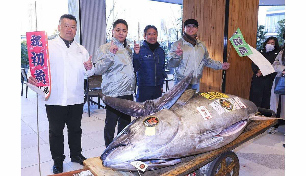 Le thon rouge d'Oma, acheté pour près d'1,3 million d'euros à l'occasion de la traditionnelle vente aux enchères de thons du Nouvel An à Tokyo, le 5 janvier 2025.